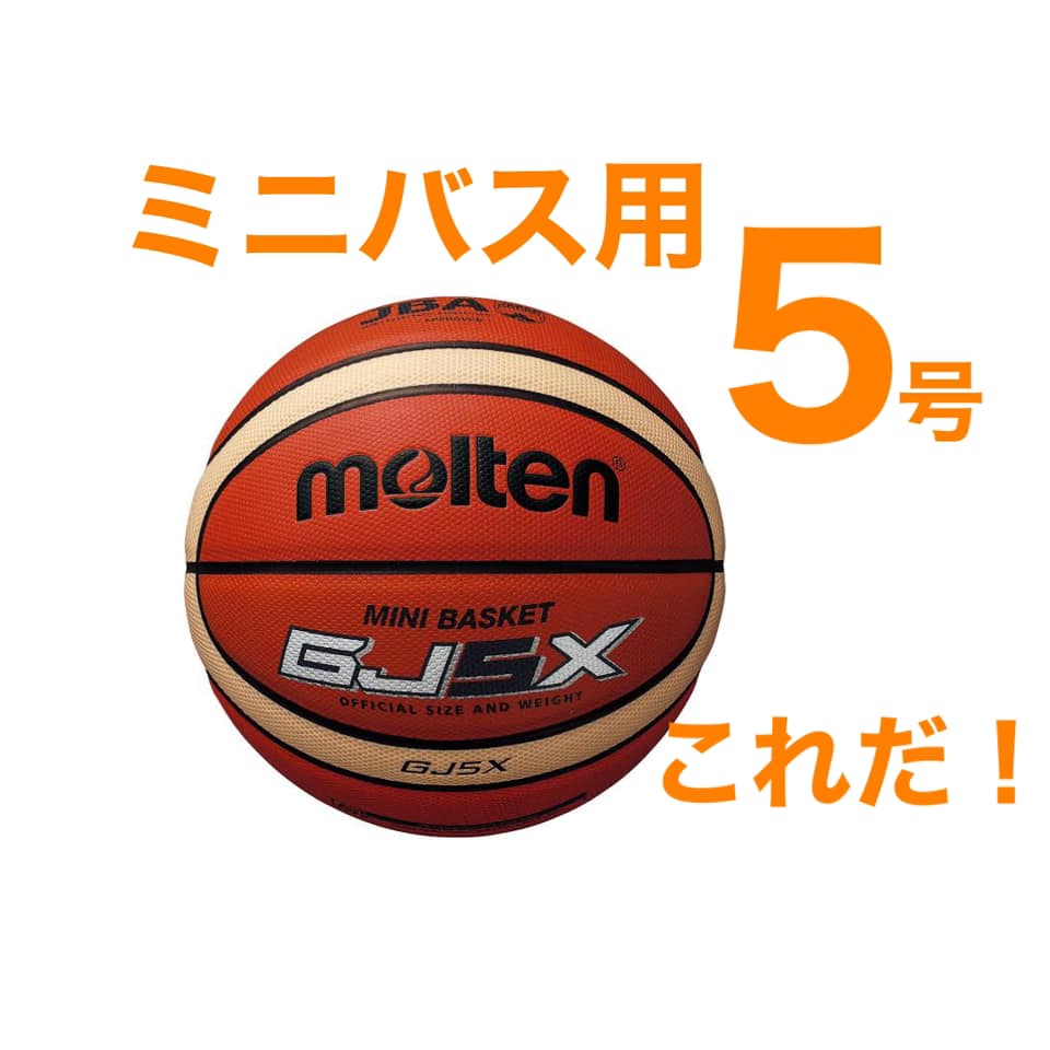 白木/黒塗り molten(モルテン) バスケットボール トレーニングボール9090 B6C9090